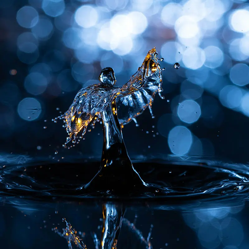 Foto 3 Wasserritual Homepage